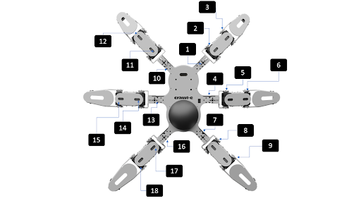 Labeled parts and motors of the six legged microcontroller powered spider robot Crawl-e robot created by Yudu Robotics displayed on a white background, highlighting its components and assembly.