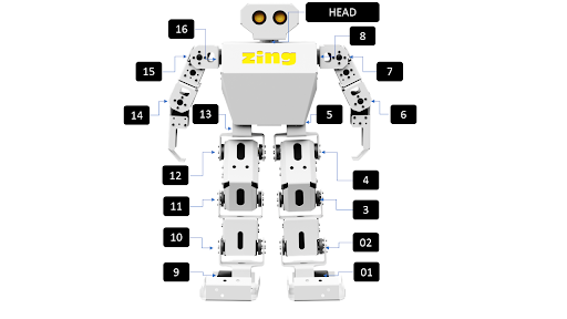 Parts and motors of the Zing humanoid robot labelled on a white background