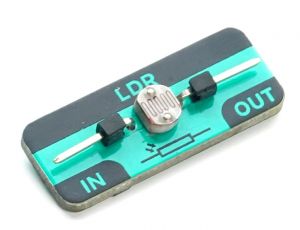 LDR Module 2.jpg