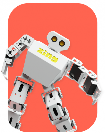 Features Of Zing.png