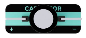 Capacitor 1000.jpg