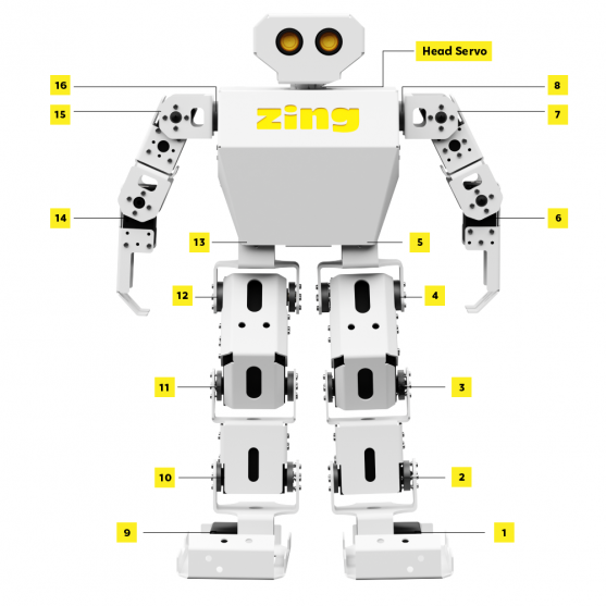 Parts and motors of the Zing humanoid robot labelled on a white background