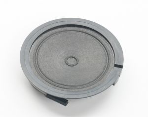 Speaker 2.jpg
