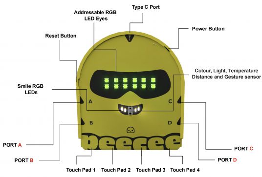 PeeCee Anatomy png.jpg