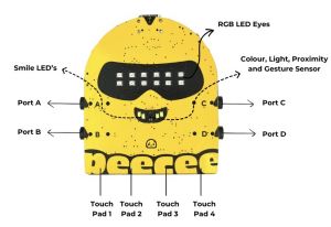 PeeCee Front Anatomy.jpg